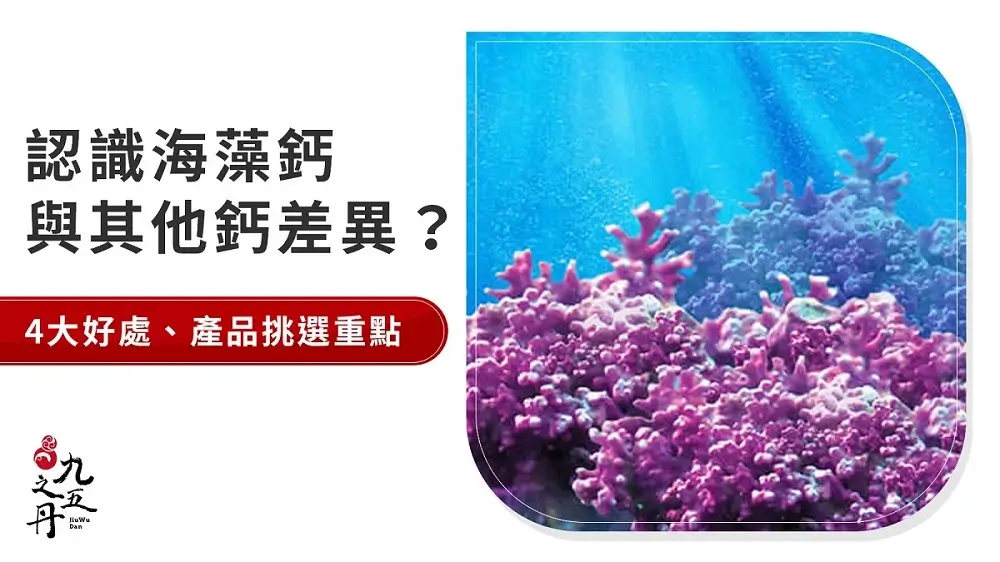 海藻鈣4功效與建議避開的3個副作用注意事項