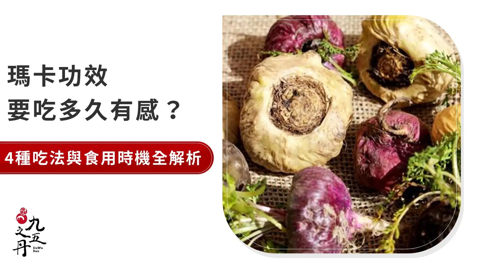 瑪卡功效要吃多久?吃法、劑量、持續時間完整說明