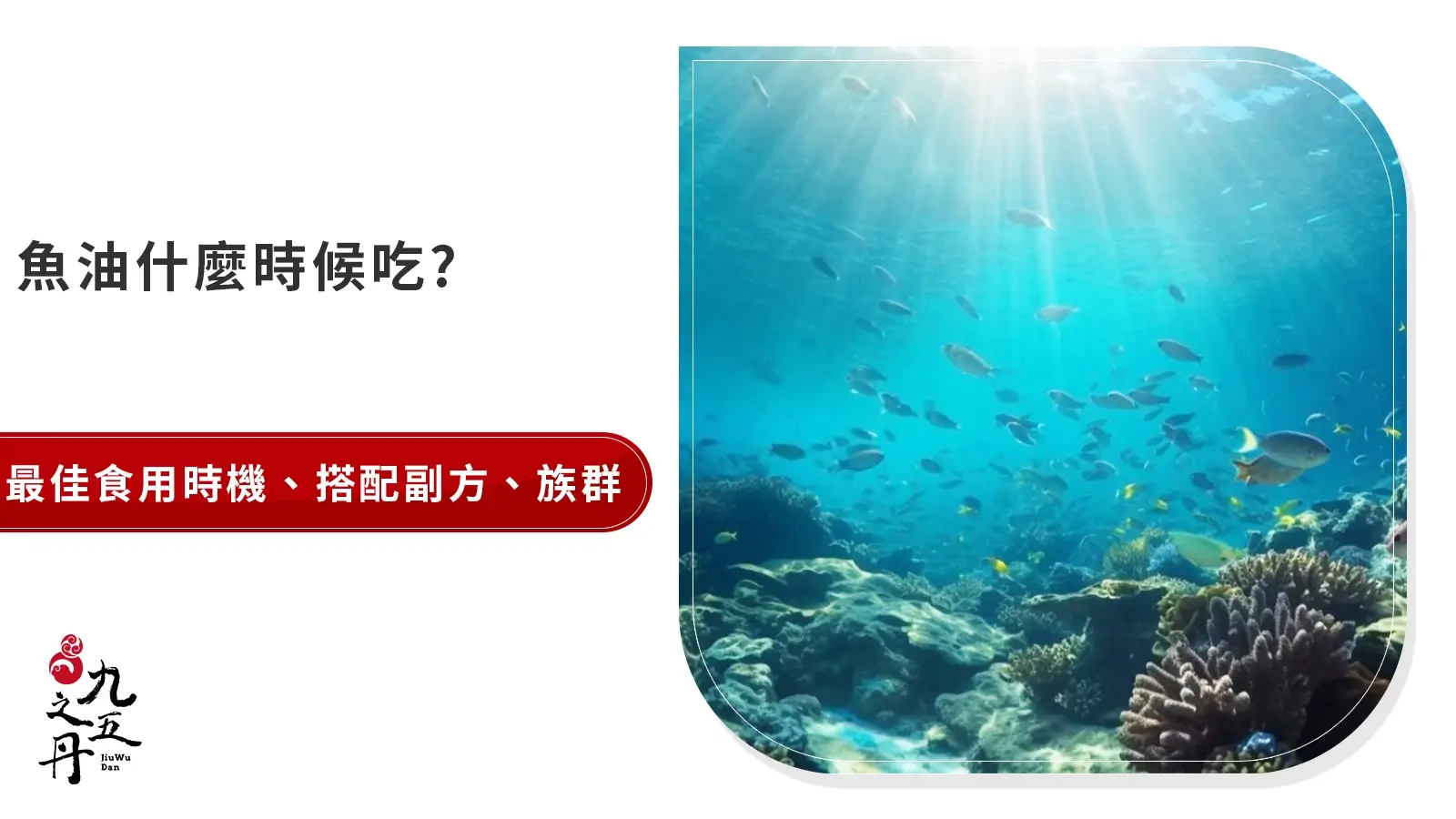 魚油什麼時候吃？最佳食用時機、搭配複方、族群