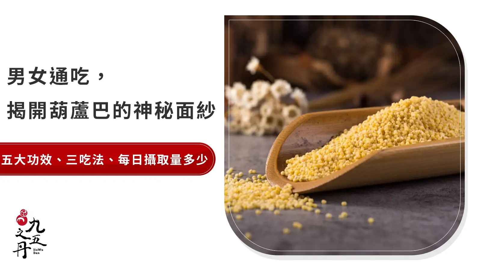 葫蘆巴攻略：五大功效、三吃法、每日攝取量看這篇| 九五之丹
