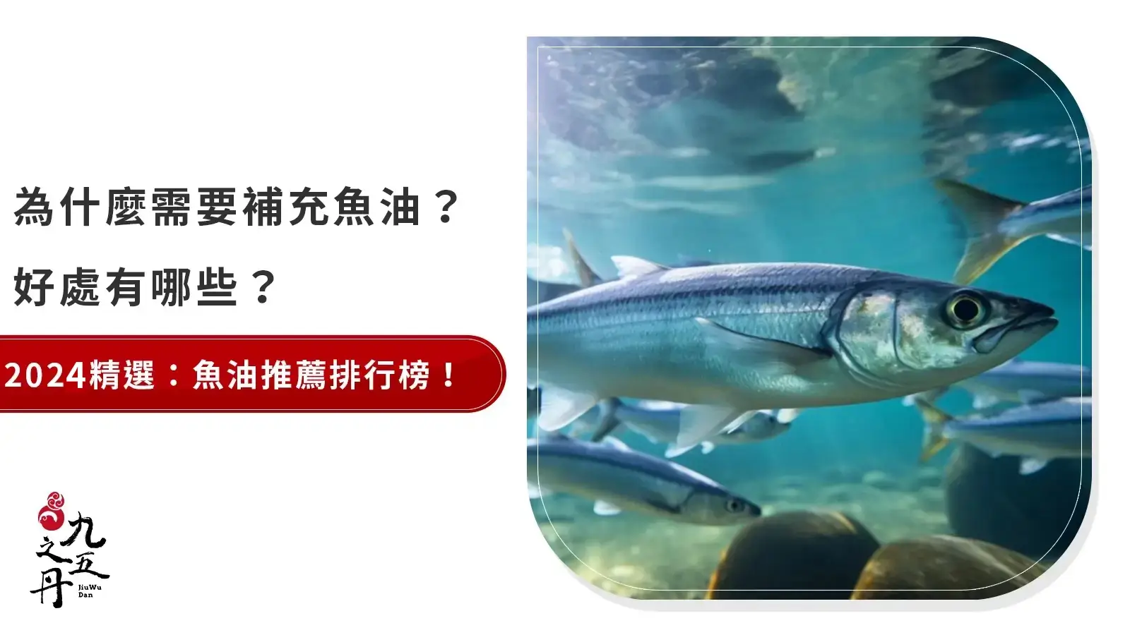 2024精選！13大品牌，最完整魚油品牌推薦排行榜！