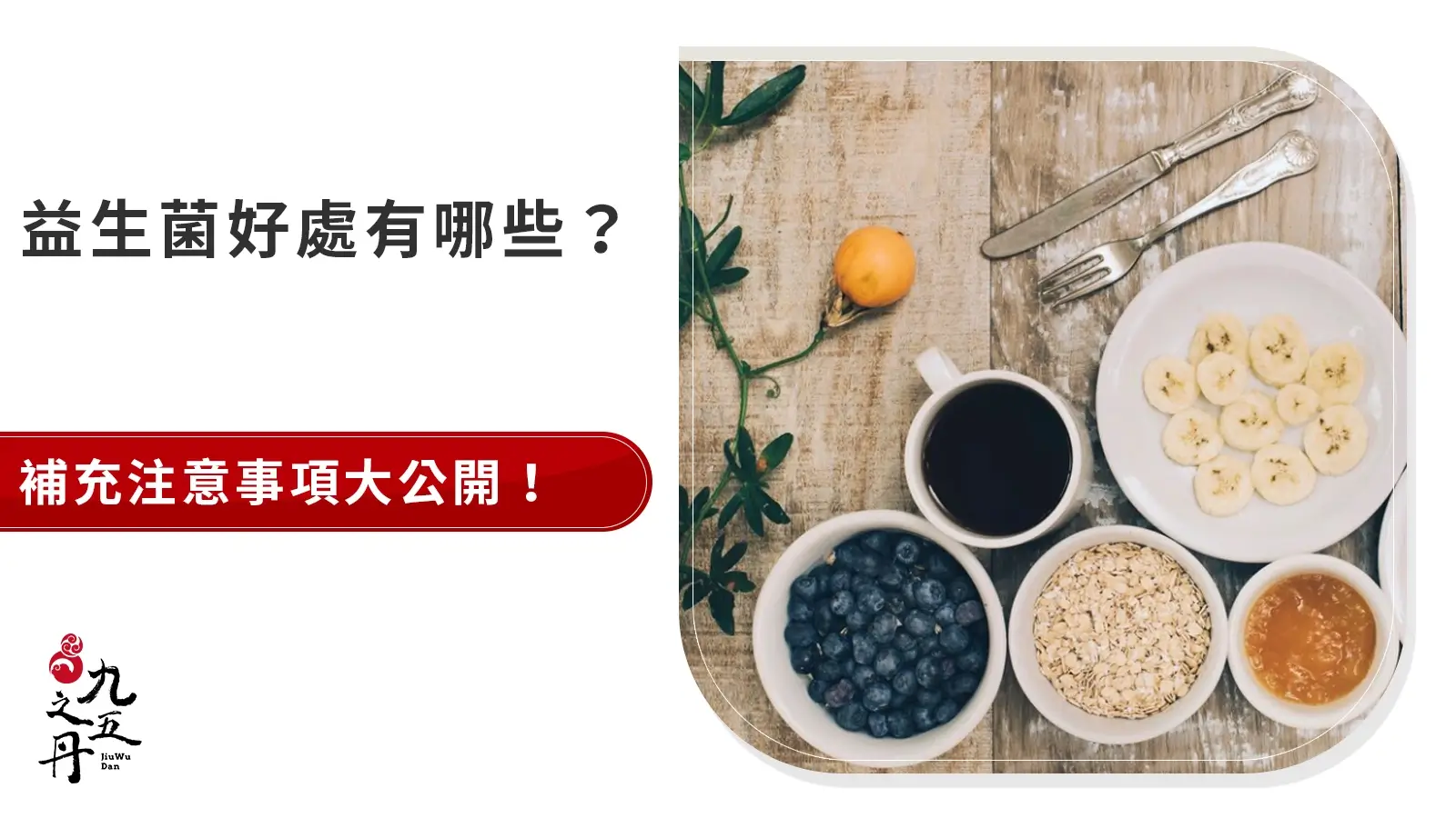 益生菌介紹：了解補充時影響功效的關鍵四因素