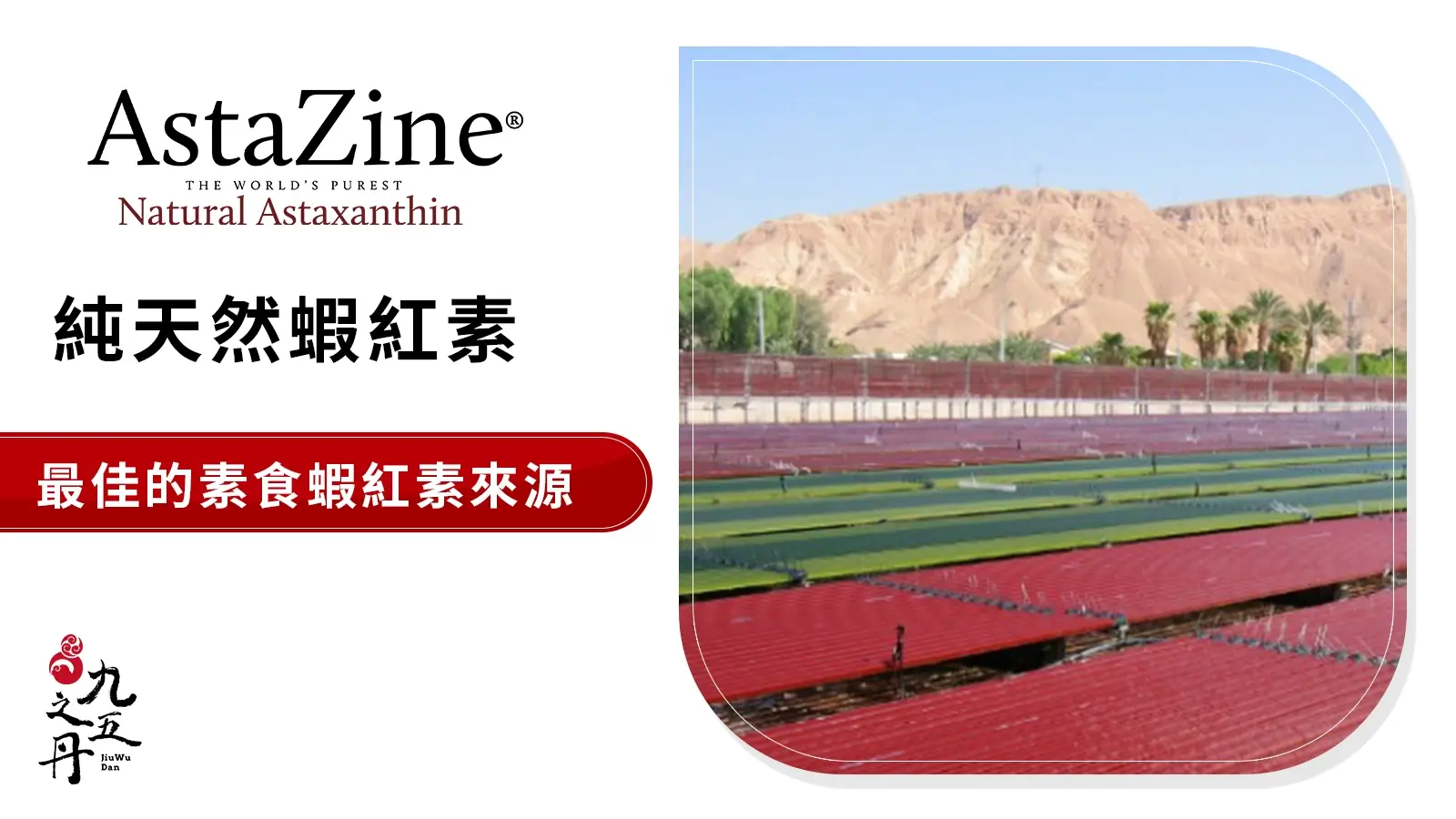 AstaZine® 德國純天然蝦紅素