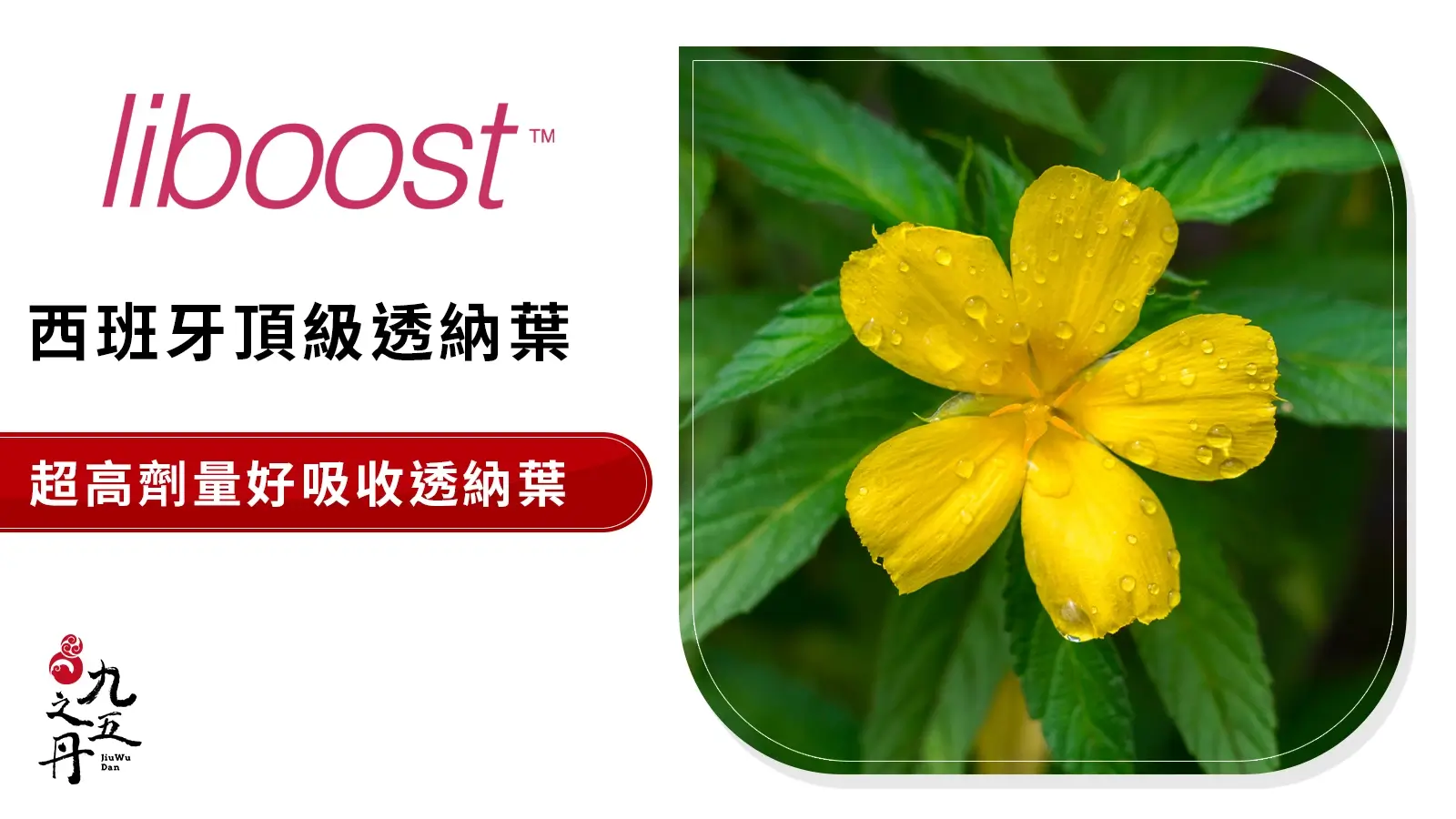 Liboost™ 西班牙頂級透納葉