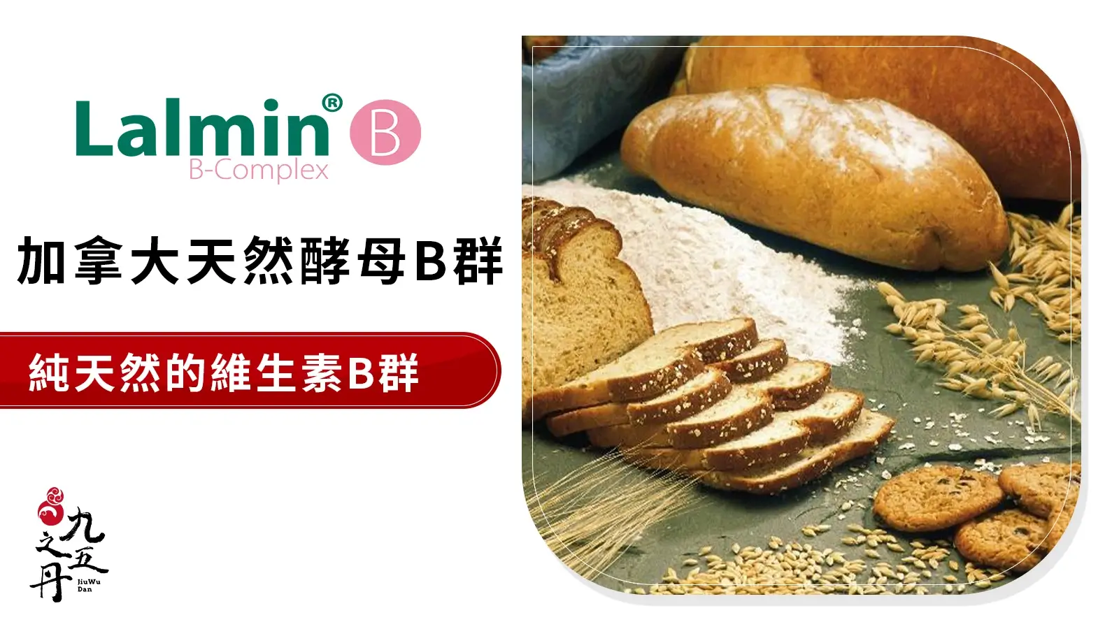 Lalmin® 加拿大天然酵母B群