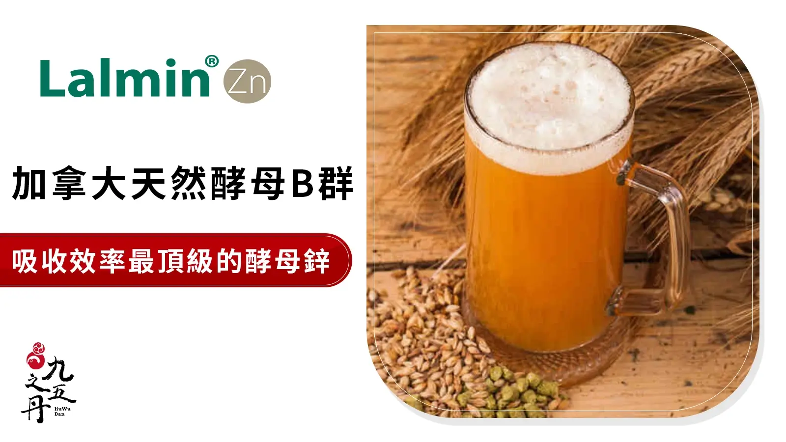 Lalmin® 法國天然酵母B群鋅