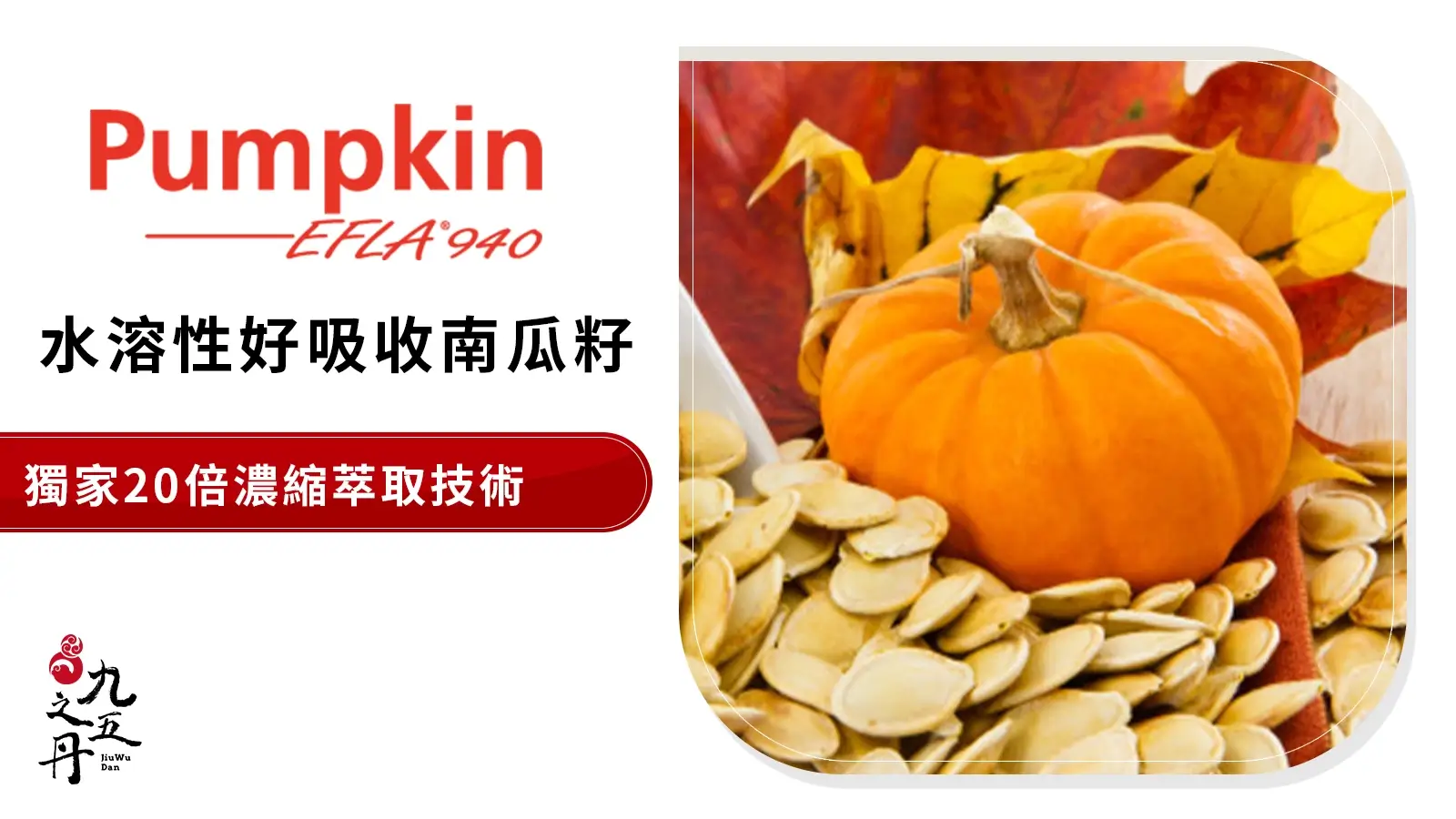 Pumpkin EFLA®940 瑞士水溶性南瓜籽