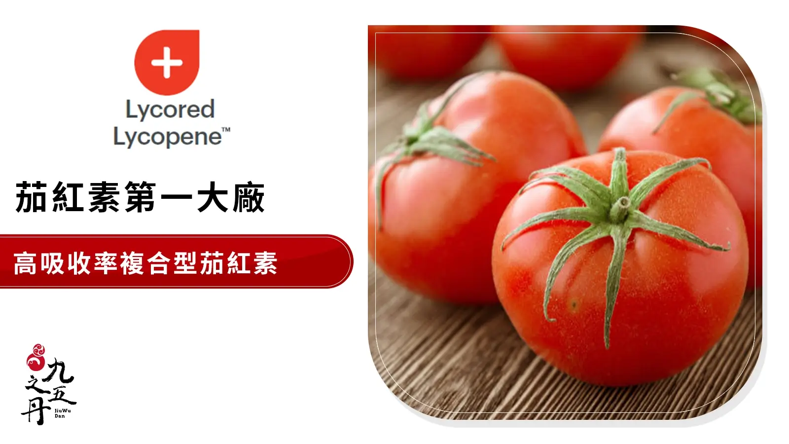 Lycored Lycopene™ 以色列高吸收率茄紅素