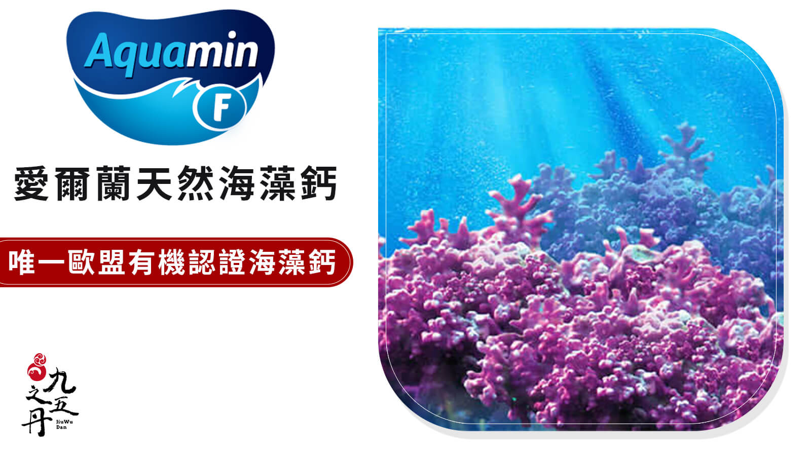 Aquamin®愛爾蘭天然海藻鈣