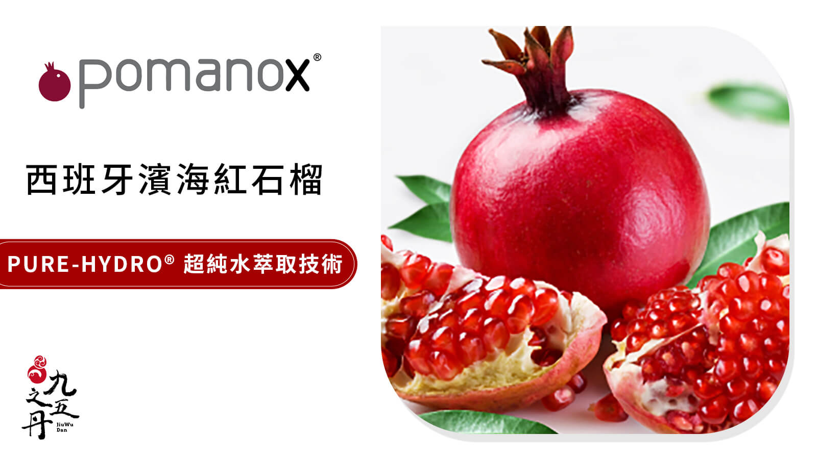 POMANOX® 西班牙濱海紅石榴​