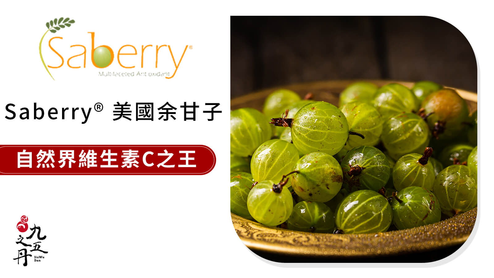 Saberry®美國余甘子