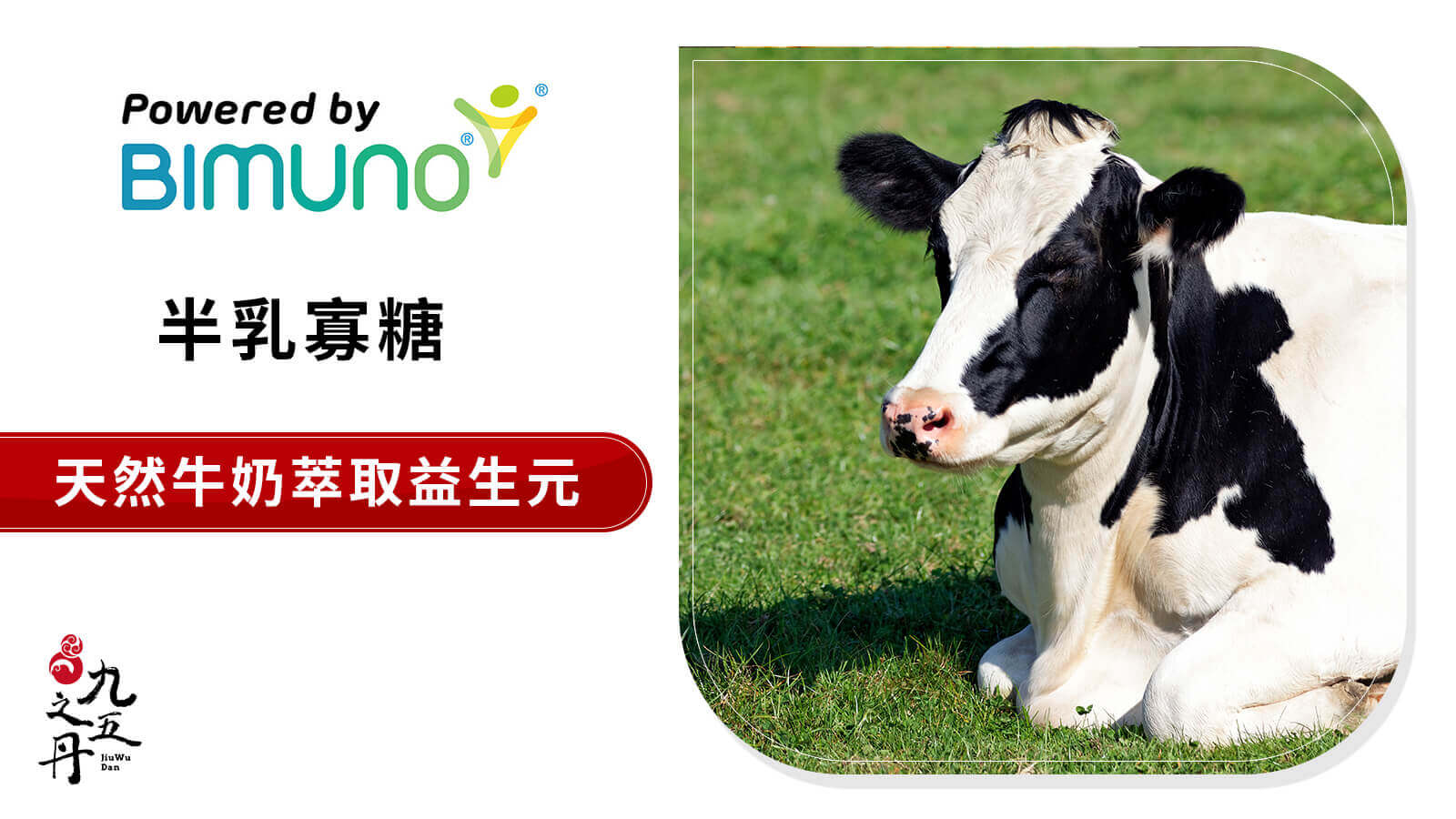 Bimuno ®愛爾蘭半乳寡糖