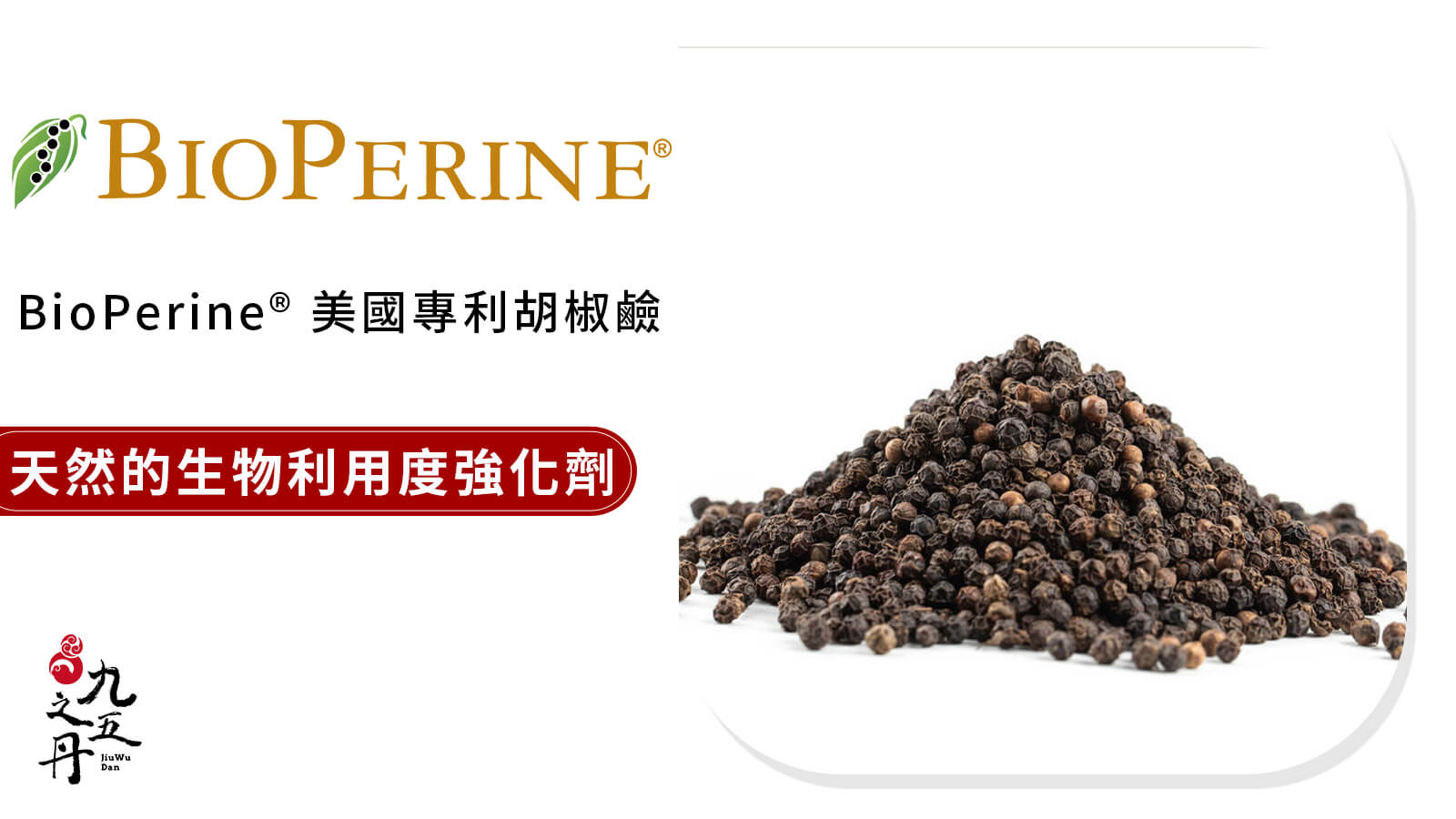 BioPerine®胡椒鹼