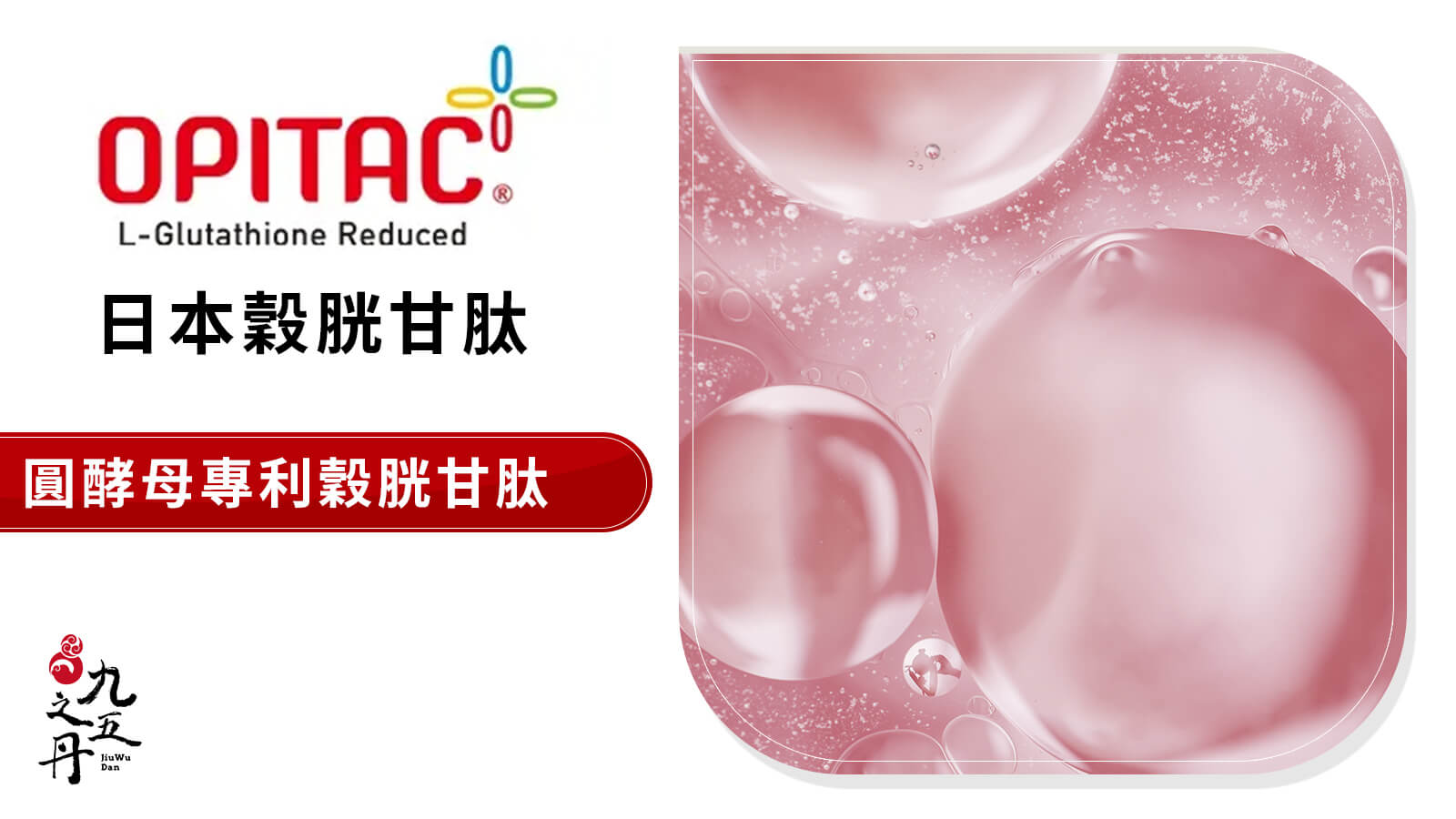 OPITAC®圓酵母穀胱甘肽
