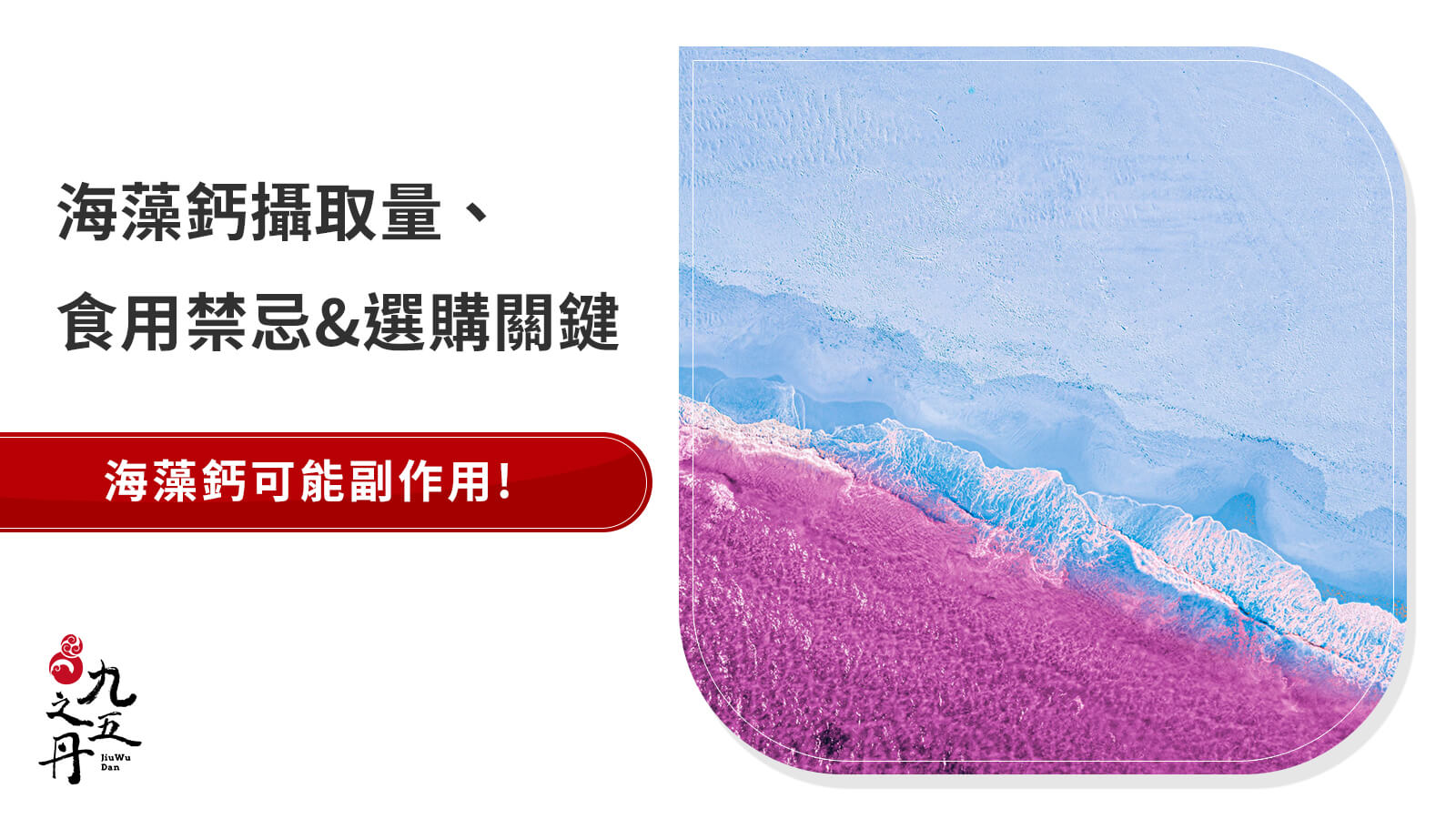 海藻鈣副作用有哪些？建議攝取量、食用禁忌&選購關鍵一覽| 九五之丹