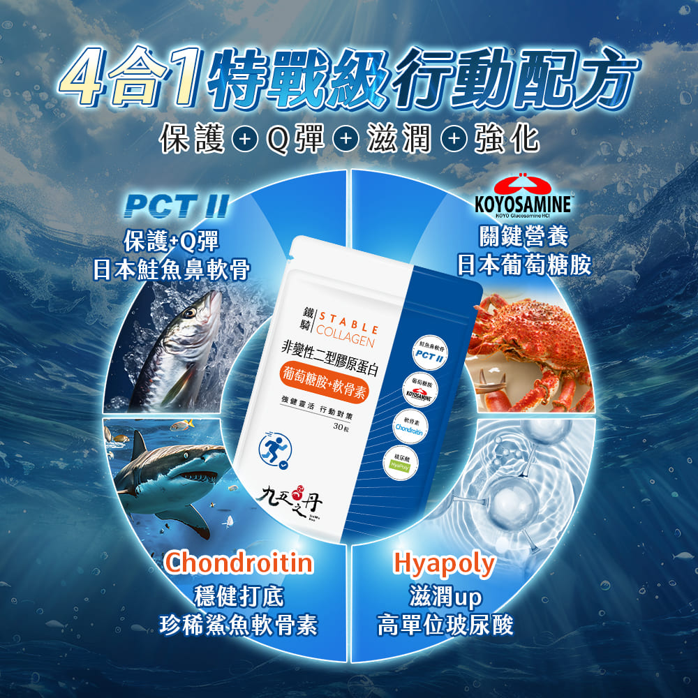 鐵騎.PCTII+葡萄糖胺+軟骨素