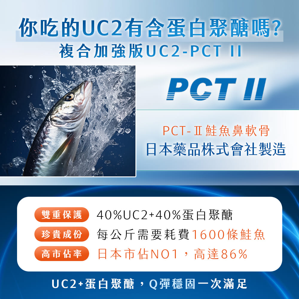 鐵騎.PCTII+葡萄糖胺+軟骨素