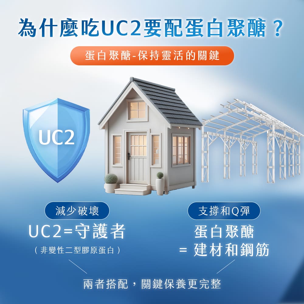 鐵騎.PCTII+葡萄糖胺+軟骨素