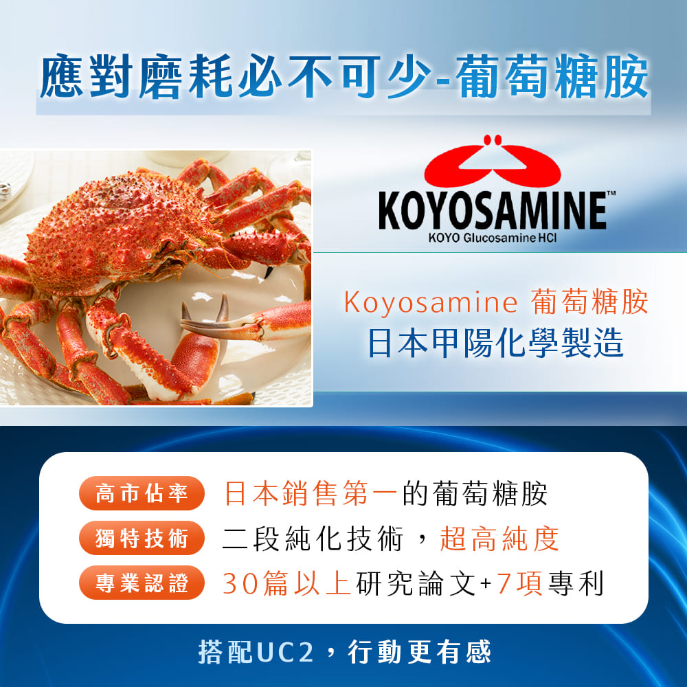 鐵騎.PCTII+葡萄糖胺+軟骨素