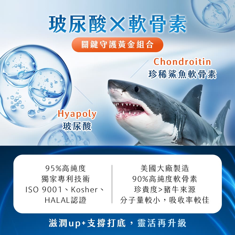 鐵騎.PCTII+葡萄糖胺+軟骨素
