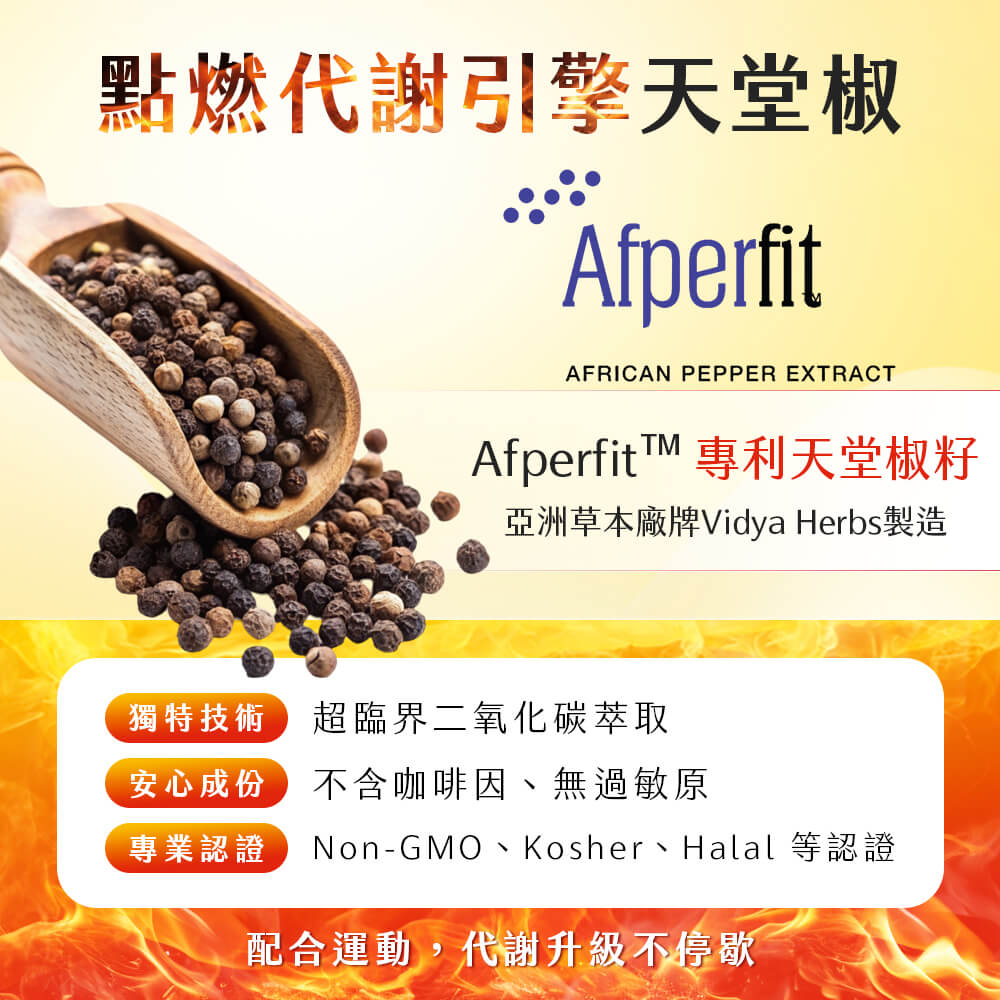 閃澱．享受酵素+白腎豆